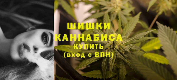 амф Володарск