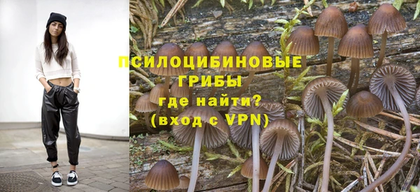 молекула духа Волосово