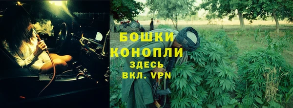 амф Володарск