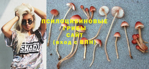 амф Володарск