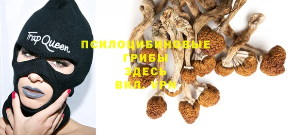 амф Володарск