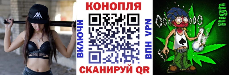 Бошки марихуана сатива  Кызыл 